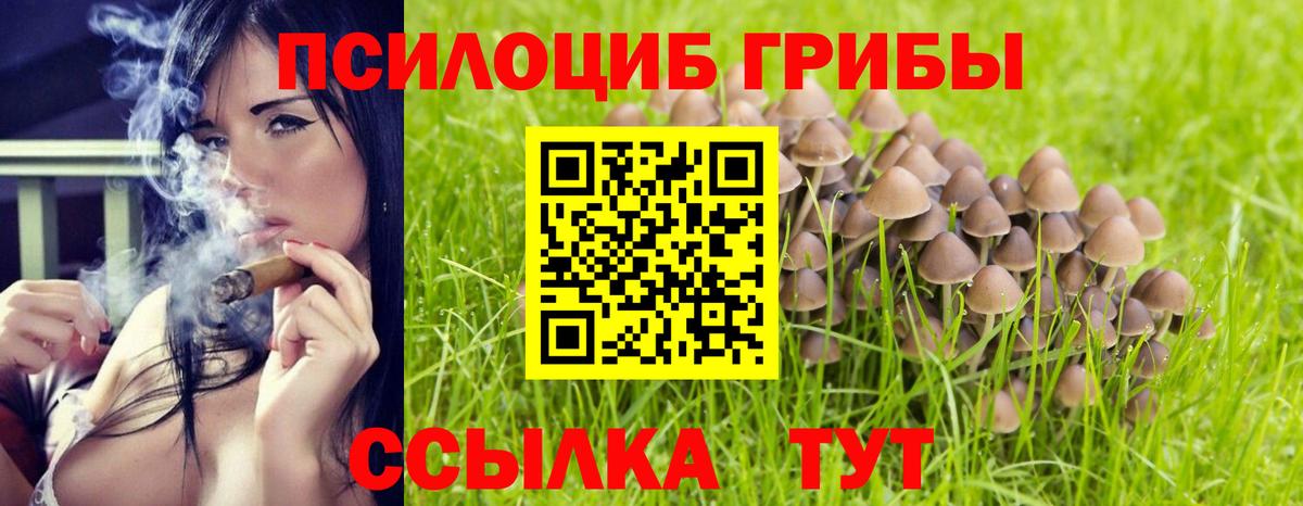 Псилоцибиновые грибы прущие грибы Ливны