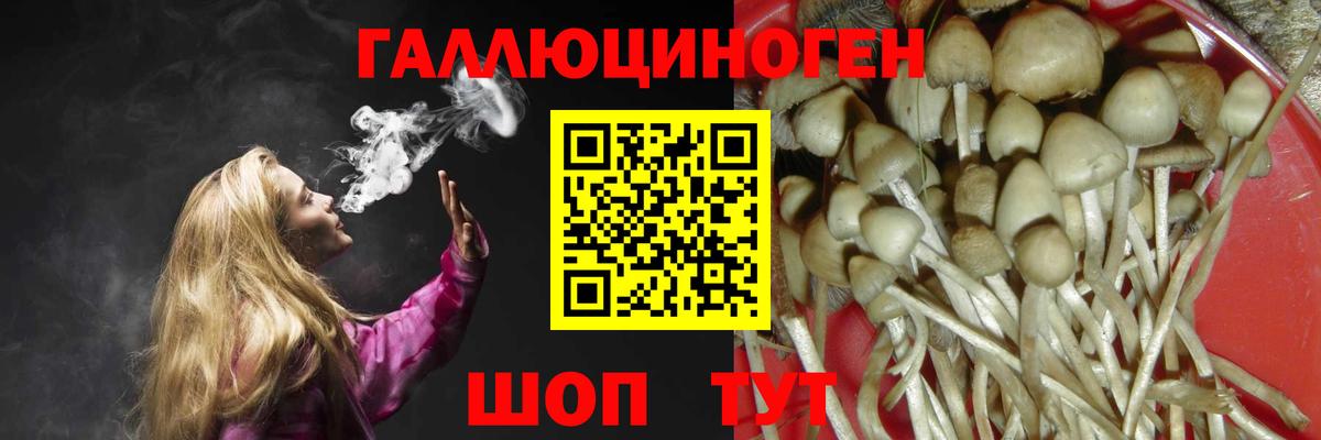 Псилоцибиновые грибы Psilocybe  Галлюциногенные грибы Magic Shrooms  Вход с VPN  где купить наркотик  Ливны 